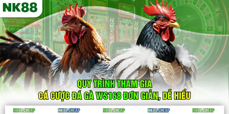 Quy trình tham gia cá cược đá gà WS168 đơn giản, dễ hiểu