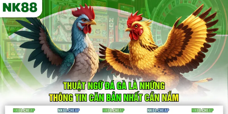 Thuật ngữ đá gà là những thông tin căn bản nhất cần nắm